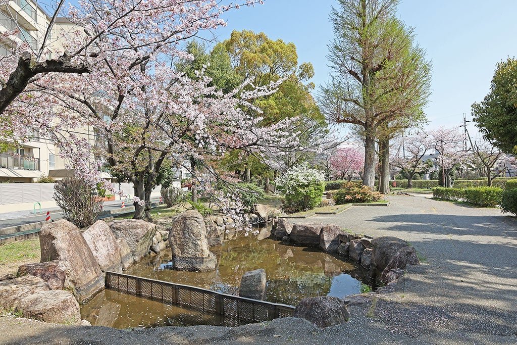 🌳 모토이바라키가와 료쿠치 공원 (타마쿠시) 이미지 1